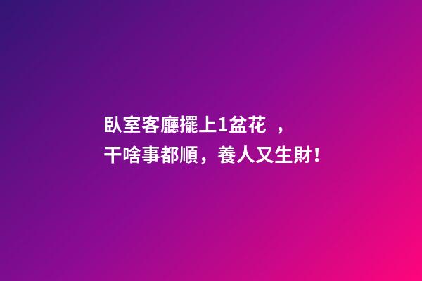 臥室客廳擺上1盆花，干啥事都順，養人又生財！